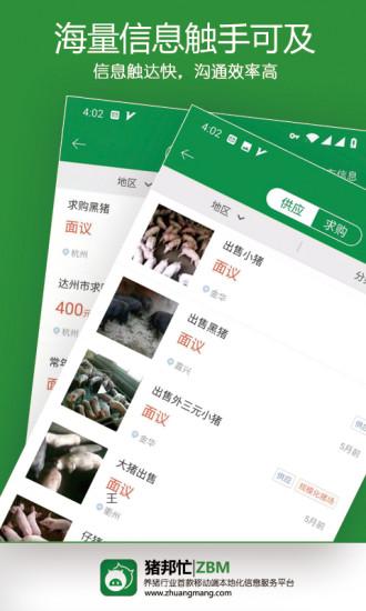 猪邦忙官方版下载,猪邦忙,购物app,电商app